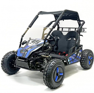 Багги GreenCamel Намиб T10 (60V 2000W R8 Дифф)