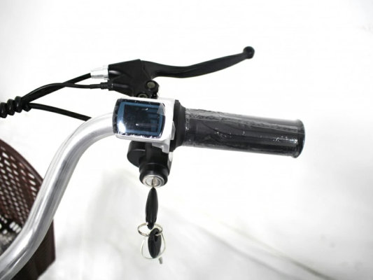 Электровелосипед GreenCamel Трайк-B (R24 500W 48V 20Ah)