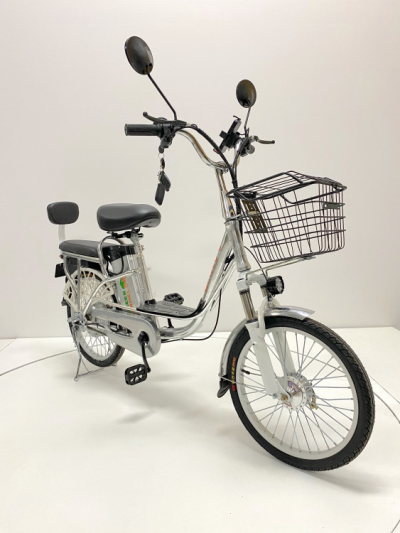 Электровелосипед GreenCamel Транк 20 V8 литой (R20 500W 60V10Ah)