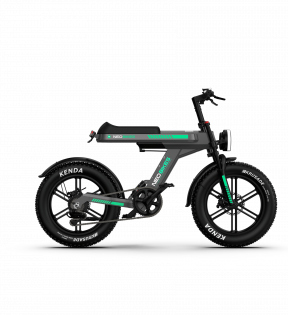 Электровелосипед NEOBIKES CIty C9 1000W