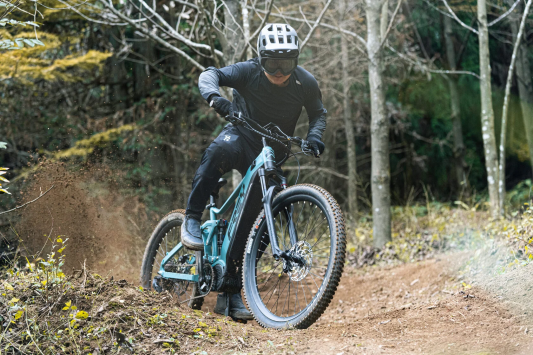 Электровелосипед FREY AM1000 V6