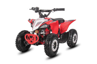 Электроквадроцикл White Siberia Sneg Leto R, красный