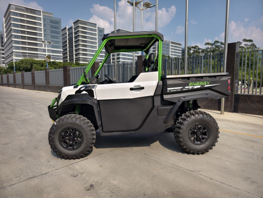 Багги CHEETAH Electric UTV